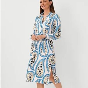 Ann Taylor Paisley Dress